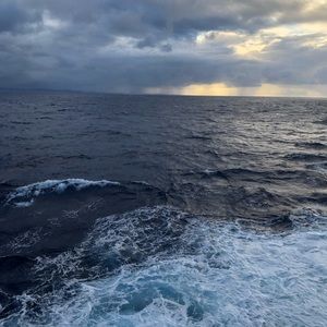 Meet your Posher, Llana